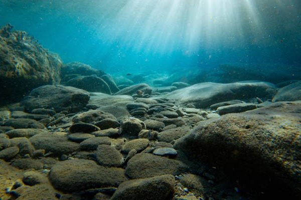 Best Underwater Fishing Camera – Latest Guide 2022
